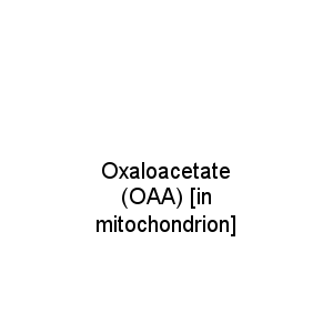 Oxaloacetate (OAA) [in mitochondrion]